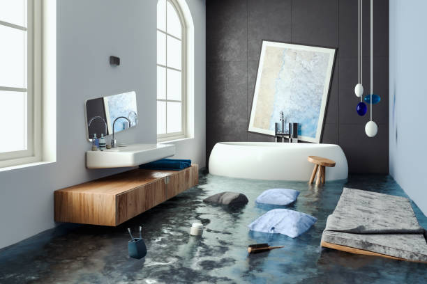 Best Water damage restoration mold remediation  in Mountain Lake, MN