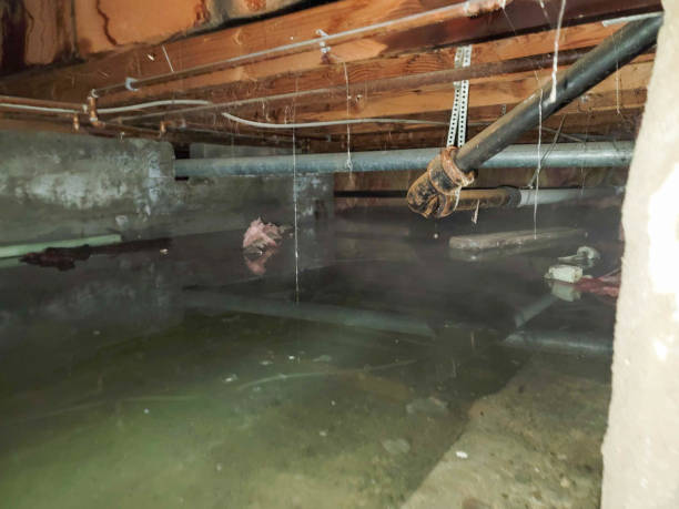 Best Commercial water damage restoration  in Mountain Lake, MN