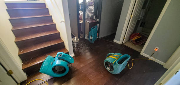 Best Fire Damage Restoration  in Mountain Lake, MN