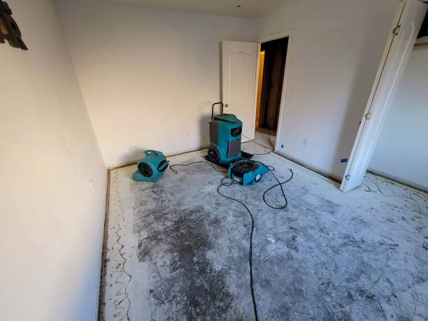 Water damage restoration mold remediation in MN