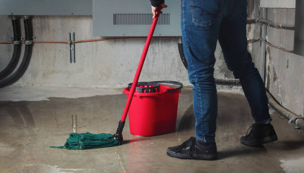 Mountain Lake, MN Water damage restoration Pros