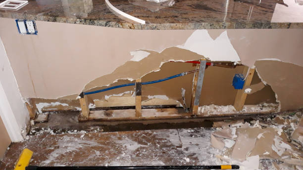 Best Flooded house restoration  in Mountain Lake, MN