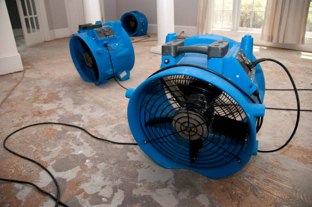 Best Water damage cleanup near me  in Mountain Lake, MN