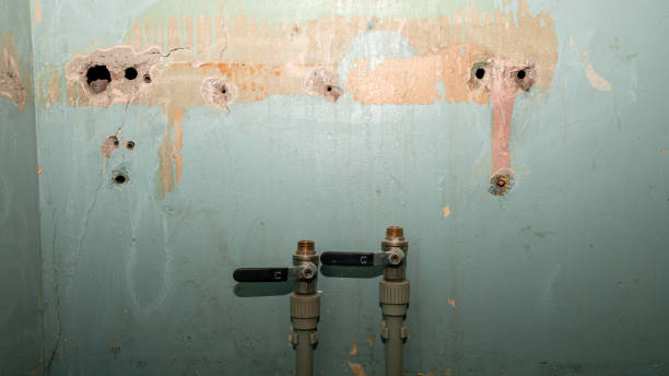 Best Sewage cleanup and water damage restoration  in Mountain Lake, MN