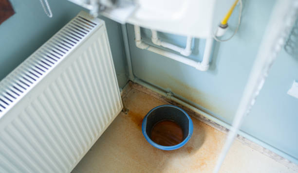 Best Water damage restoration services  in Mountain Lake, MN