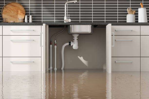 Best 24/7 water damage repair  in Mountain Lake, MN
