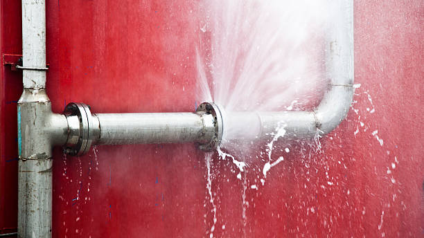 Best Emergency water extraction  in Mountain Lake, MN